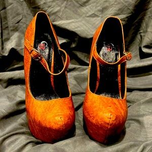 CapeRobbinCollection 4.5” high heel . Worn once super cute !!!